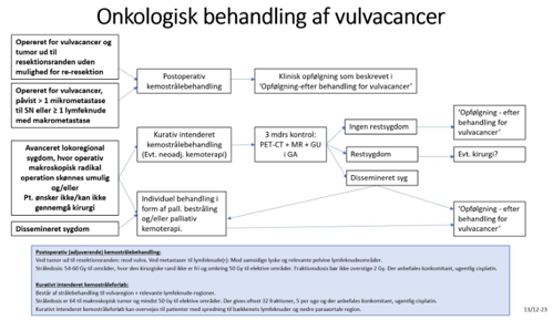 Vulvacancer – Kræft i ydre kvindelige kønsorganer. Onkologisk behandling