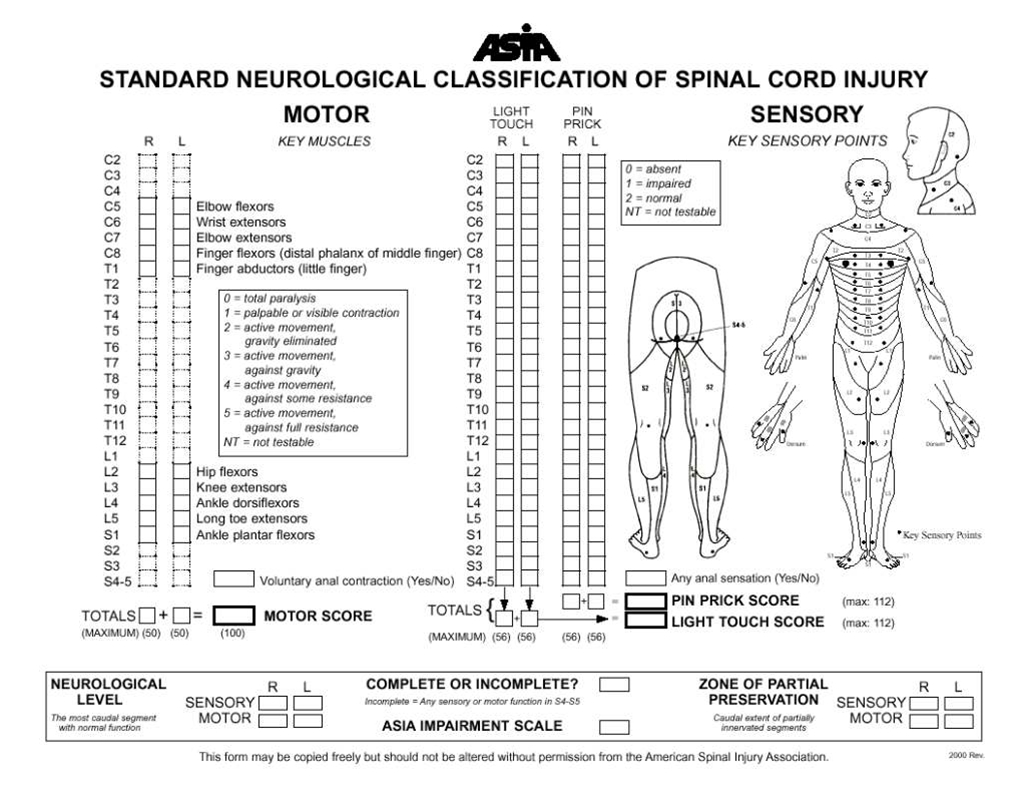 919 2 asiaklassifikasjon2 jpg