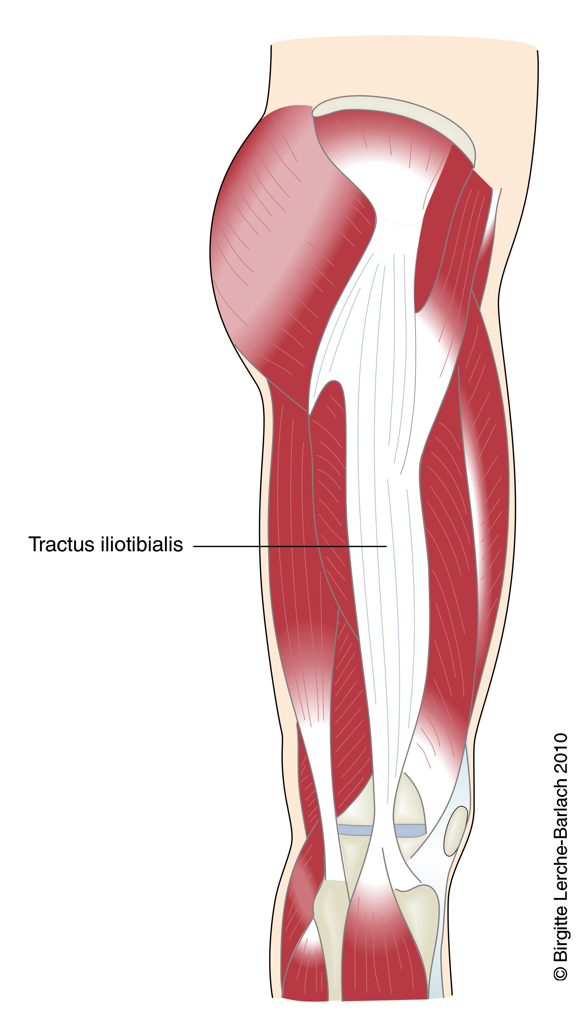 ben-tractus iliotibial