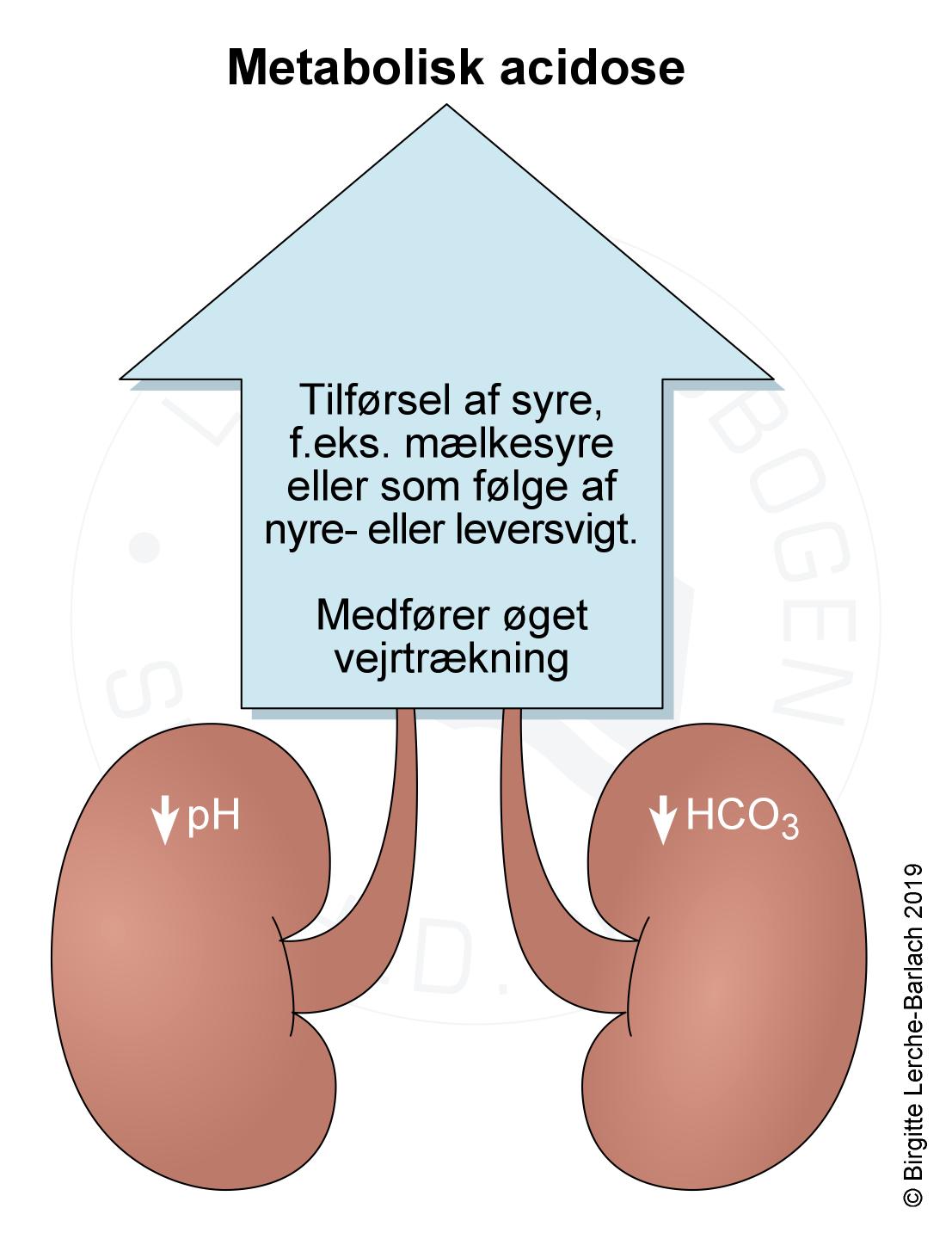 nyre-metabolisk acidose