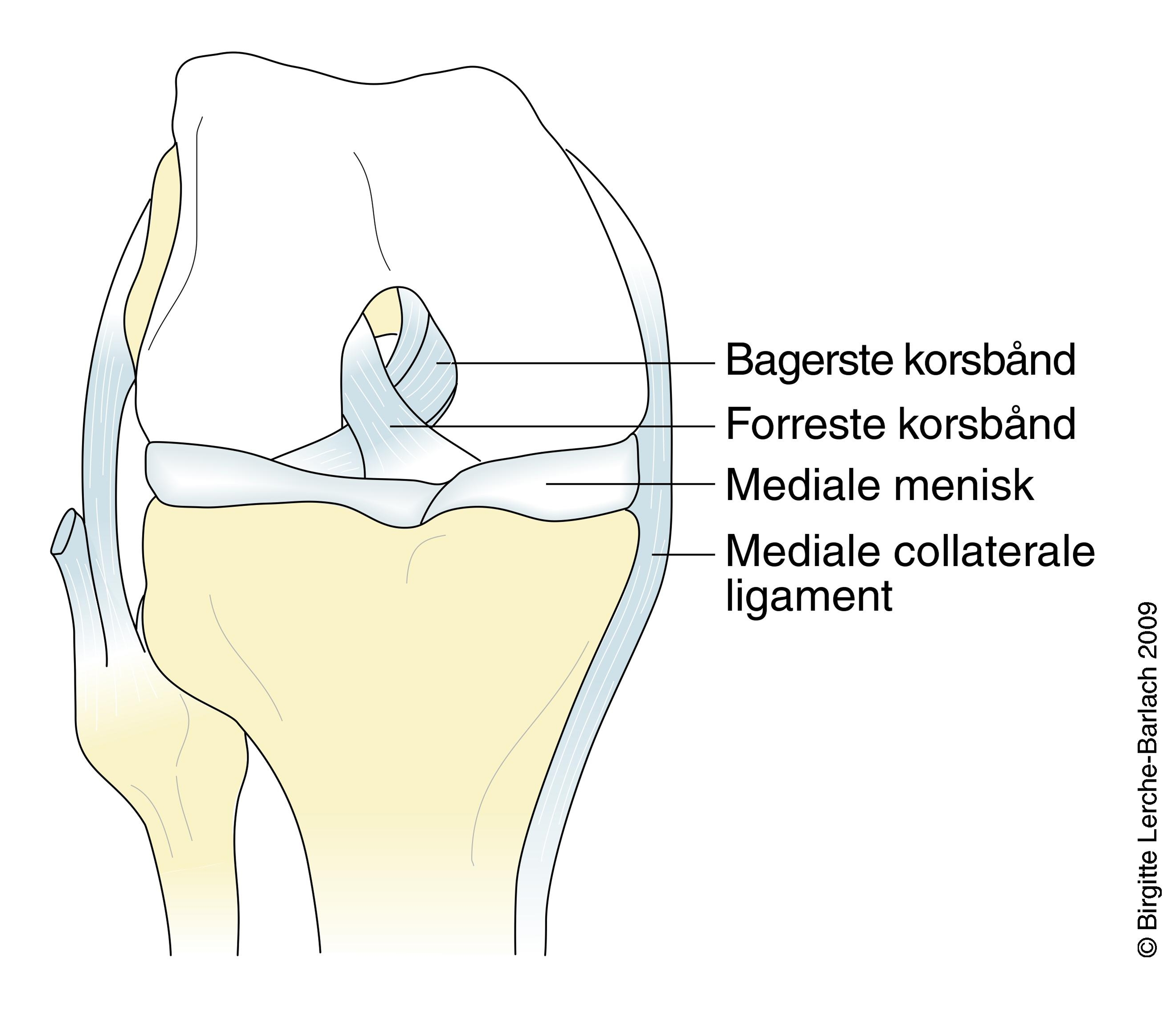 knae-korsbaand forfra 2