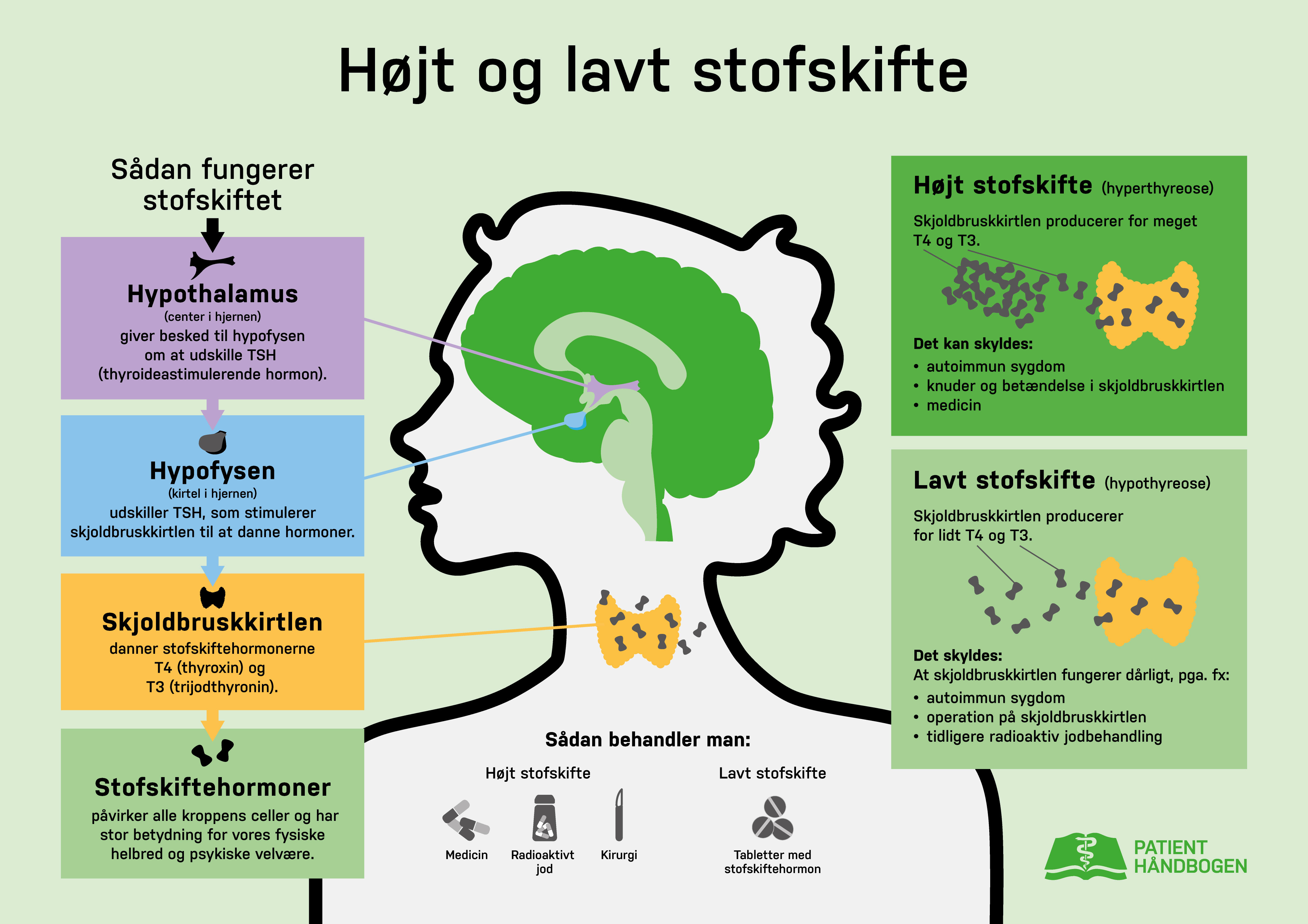 Stofskifte-aug-2020-500pct (002)