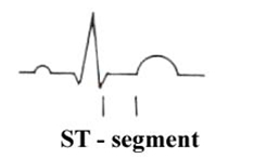 st segment