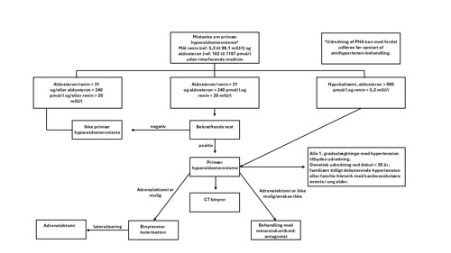 Flowchart til udredning af PHA (IDS ISYS assay værdier)