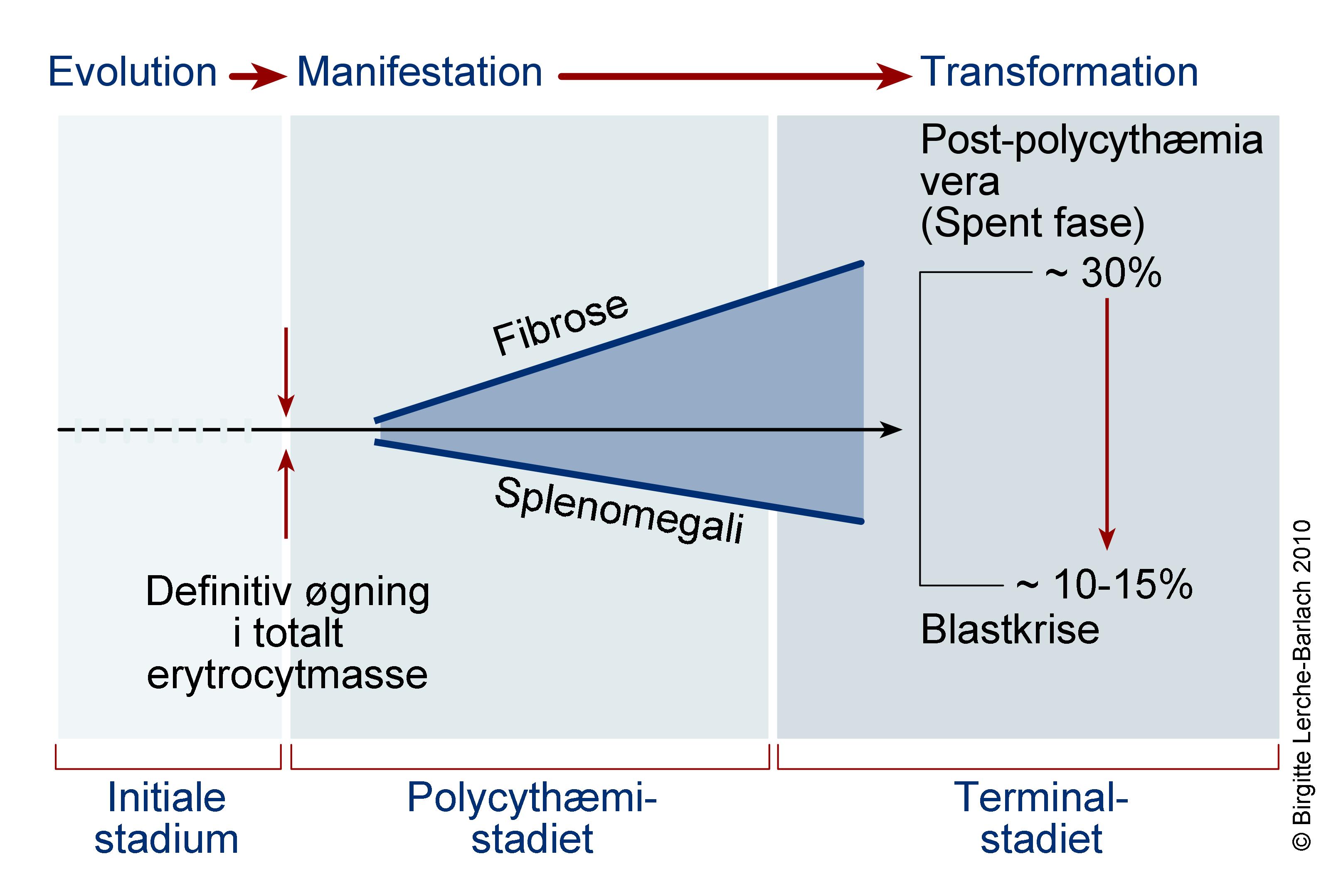 blod-polycytaemi vera