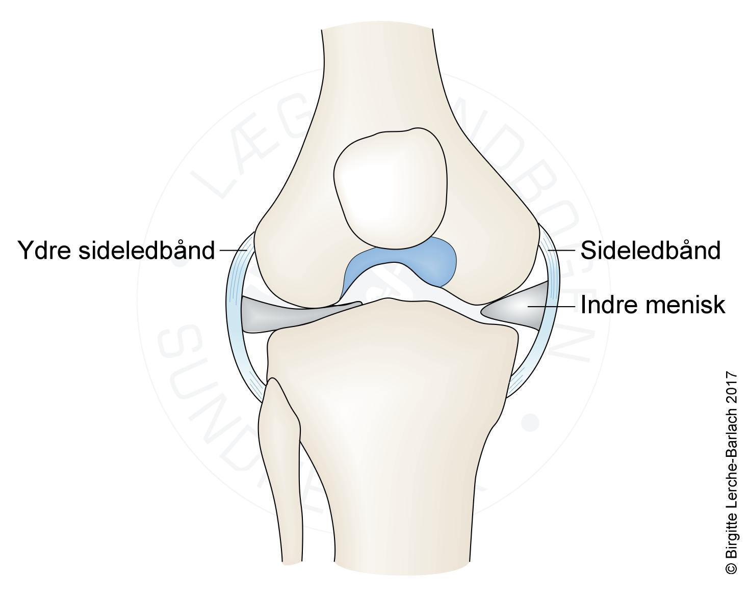 LH_2720 Ydre sideledbånd