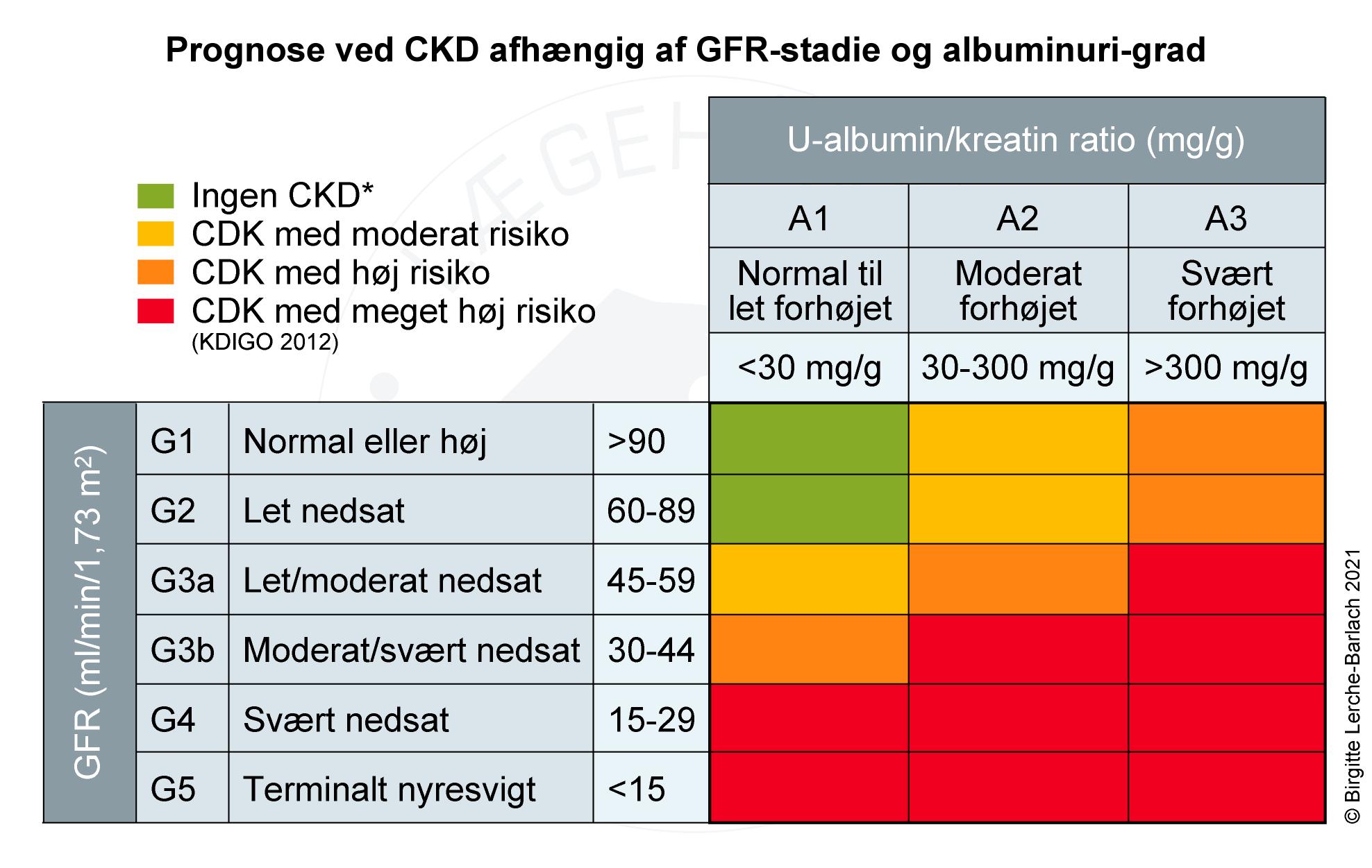 LH_2624 Stadieinddelig af kronisk nyresygdom