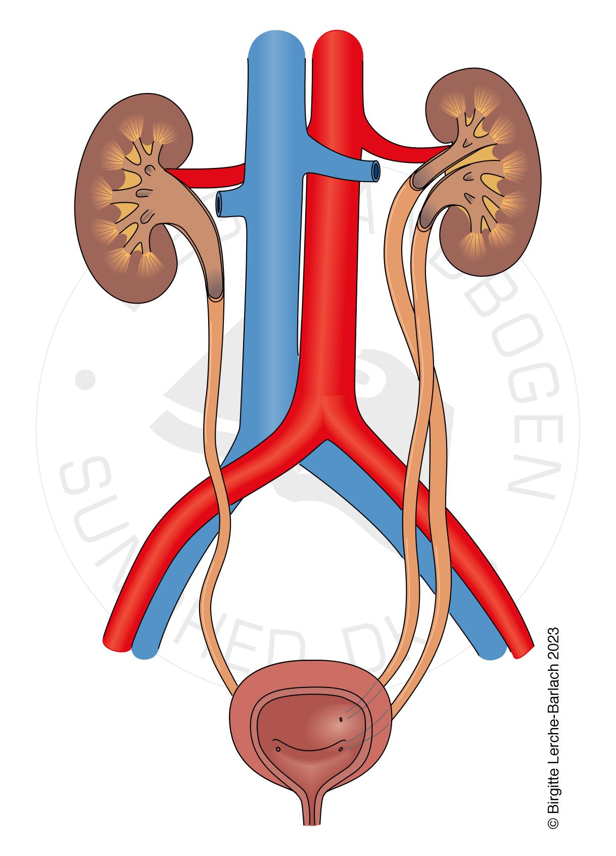 LH_Dobbeltanlaeg-urinleder