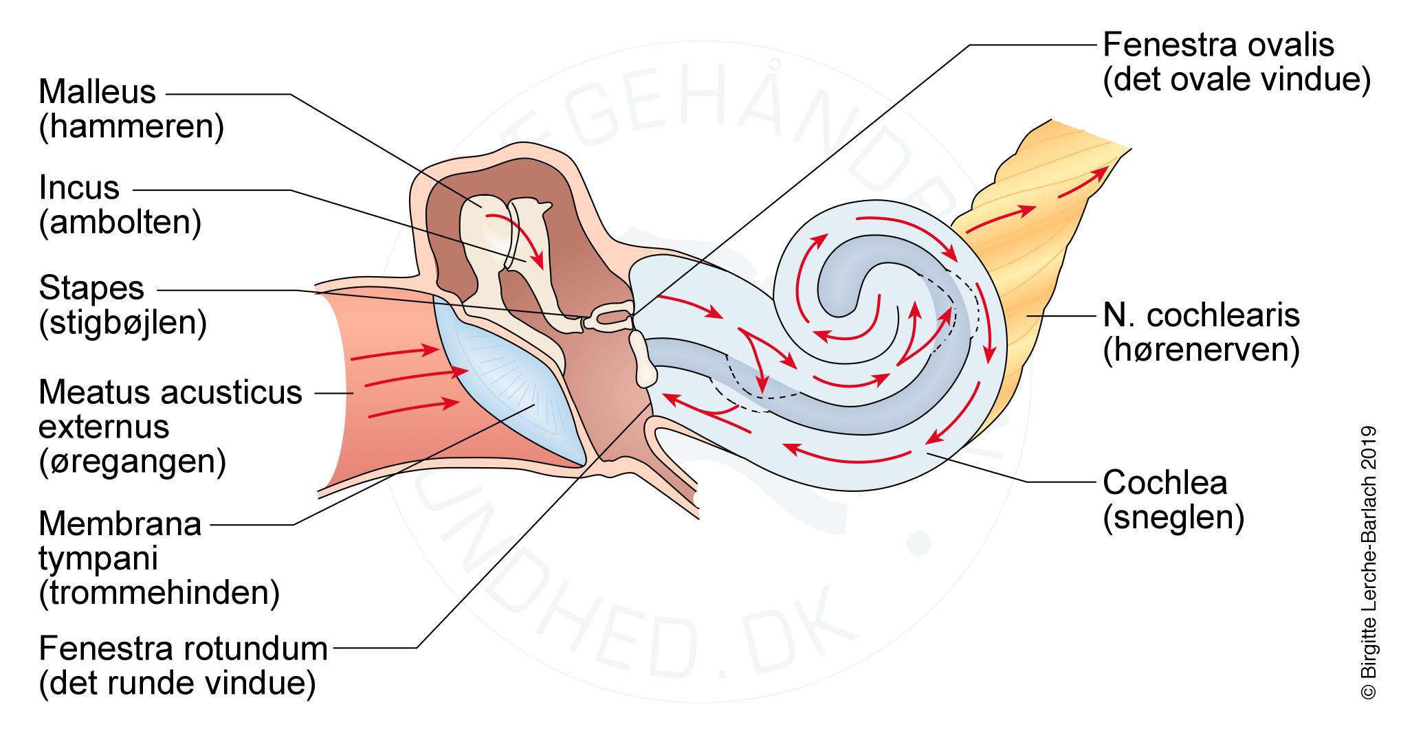 oere-indre-lydledning