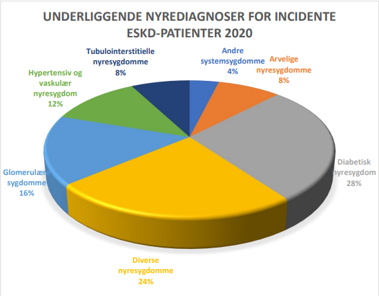Cirkeldiagram over nyrediagnoser for incidente ESKD-patienter