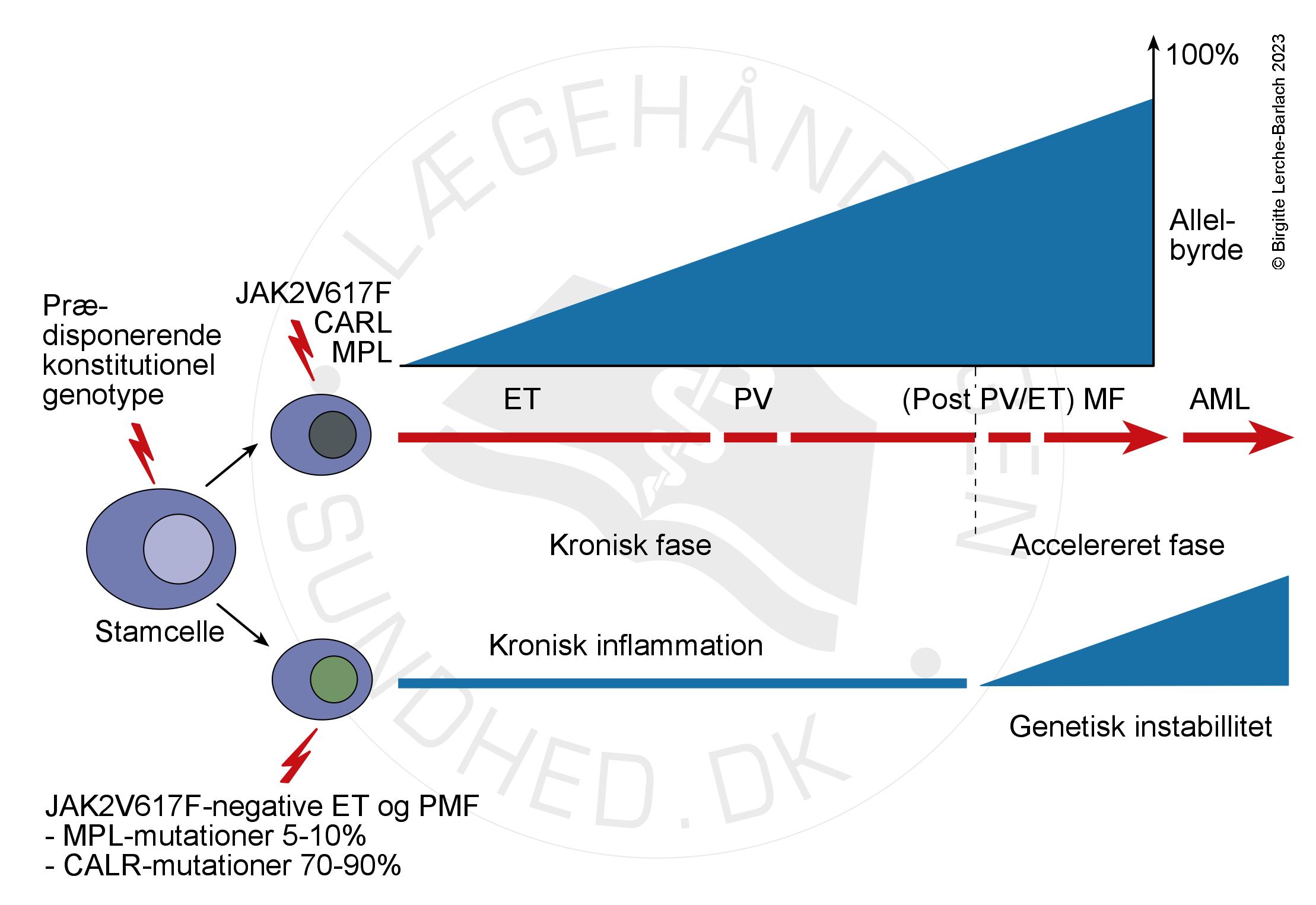biologiske kontinuum jpg
