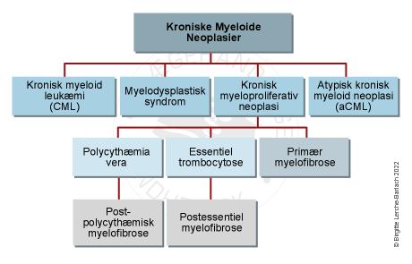 blod-klassifikation af kroniske myeloide sygdomme