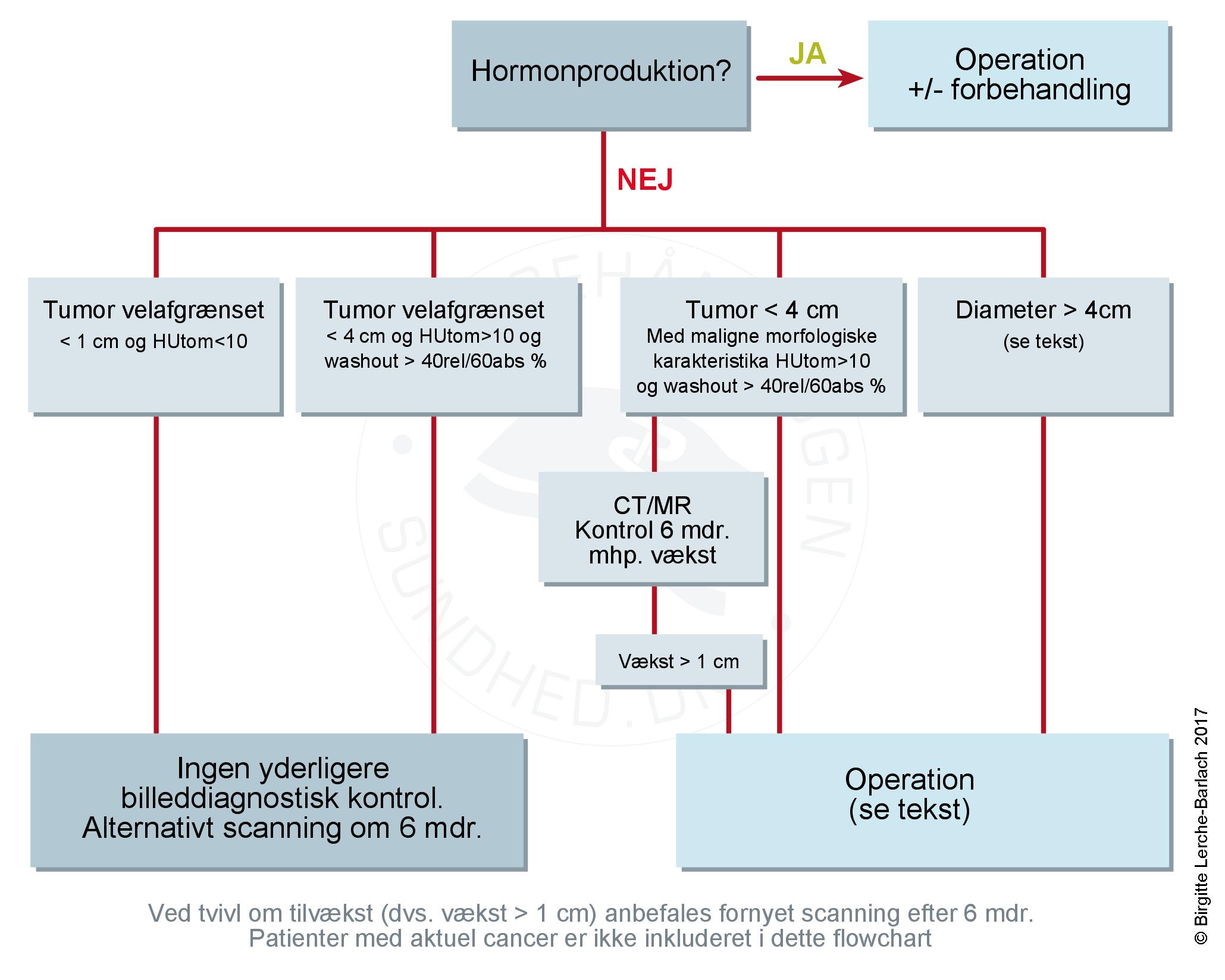Udredning og behandling af binyreincidentalomer