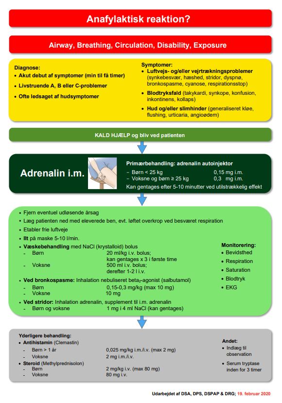 anafylaktisk reaktion