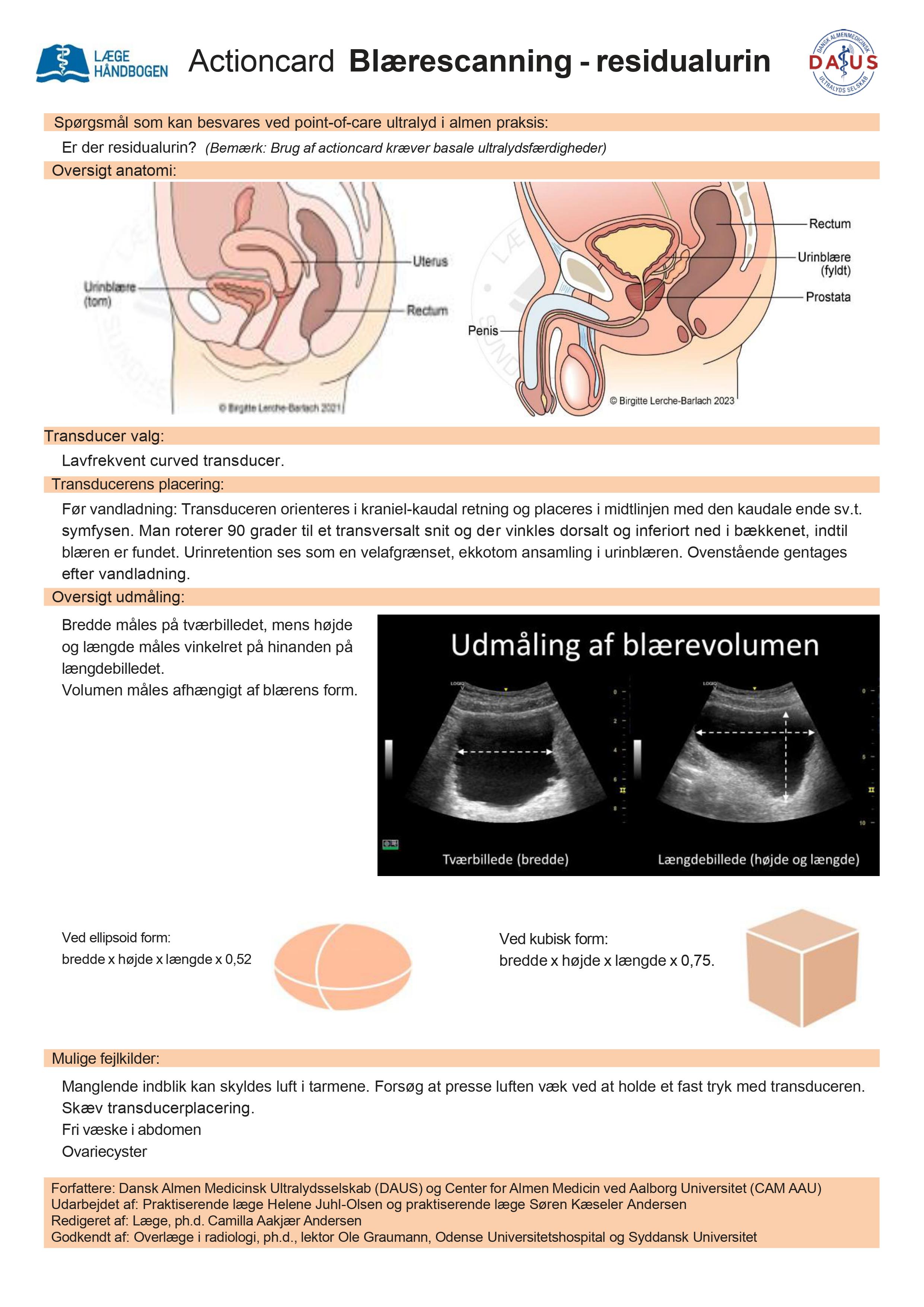 LH actioncard Blaerescanning_NY2