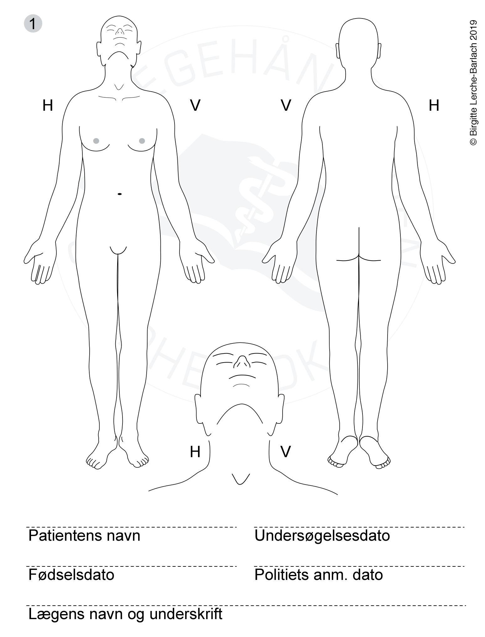 kroppen-voldtaegt skitse