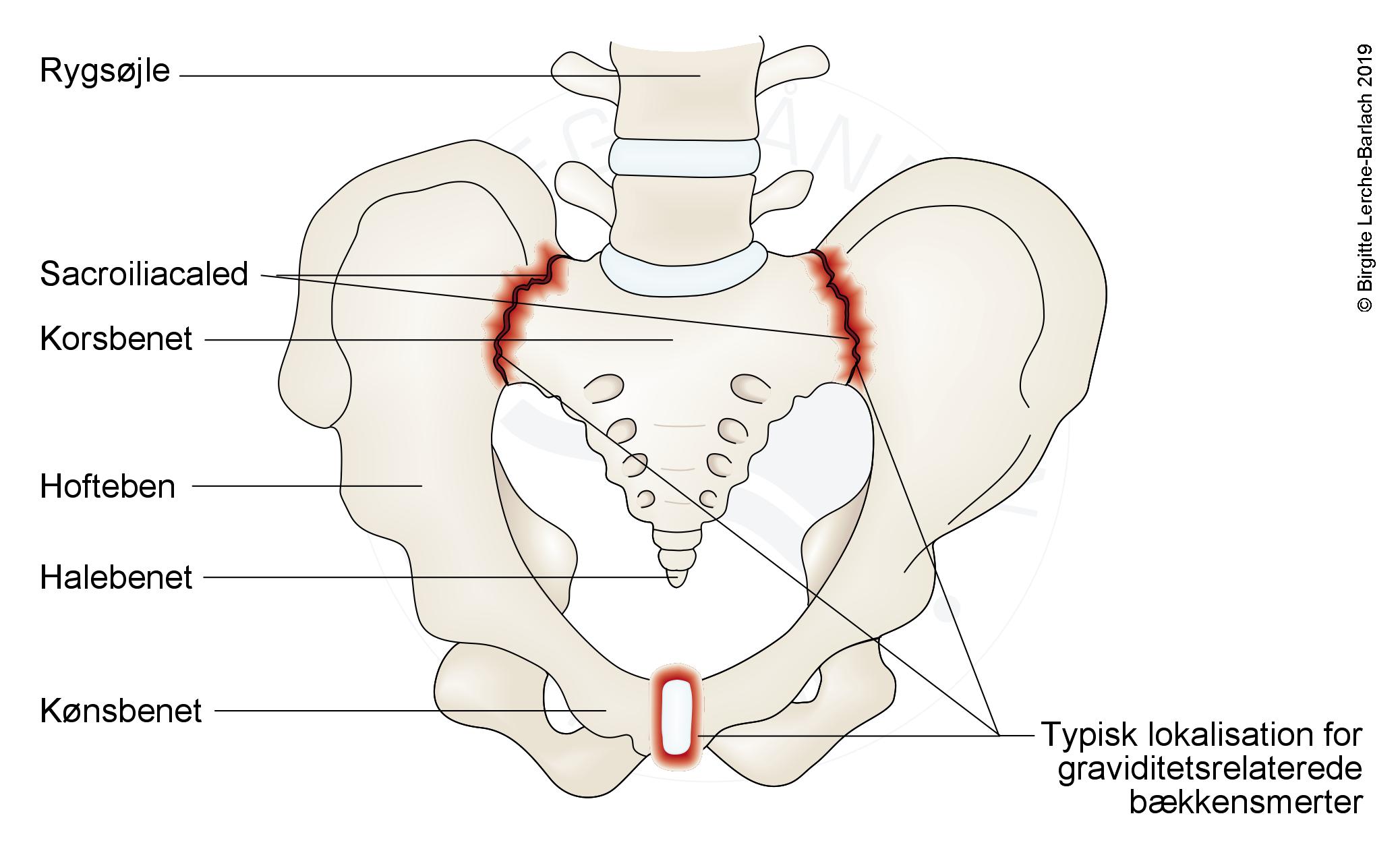 graviditetsrelaterede-baekkensmerter